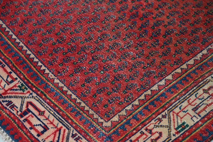 red Runner rug 3' 4" x 9' 10"
