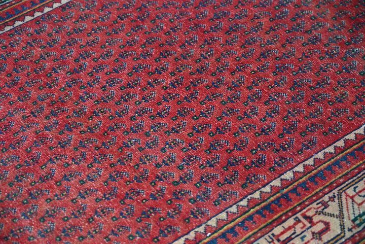 red Runner rug 3' 4" x 9' 10"