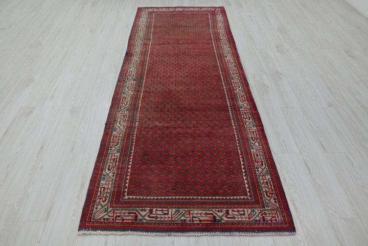 red Runner rug 3' 4" x 9' 10"