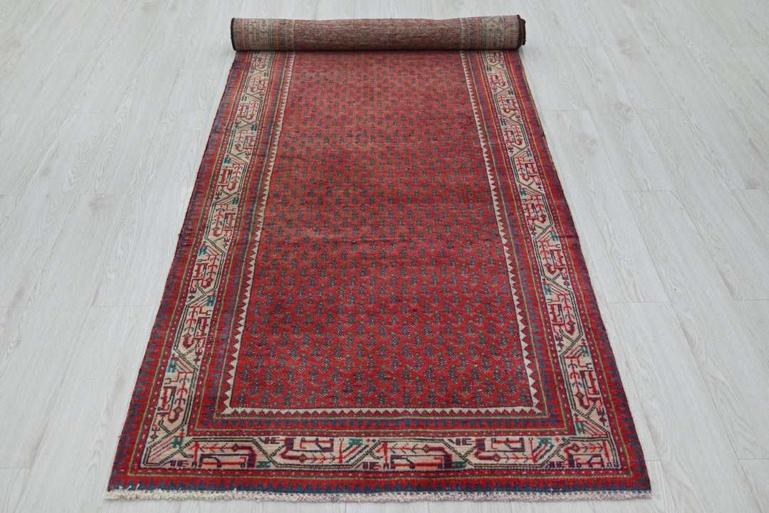 red Runner rug 3' 4" x 9' 10"
