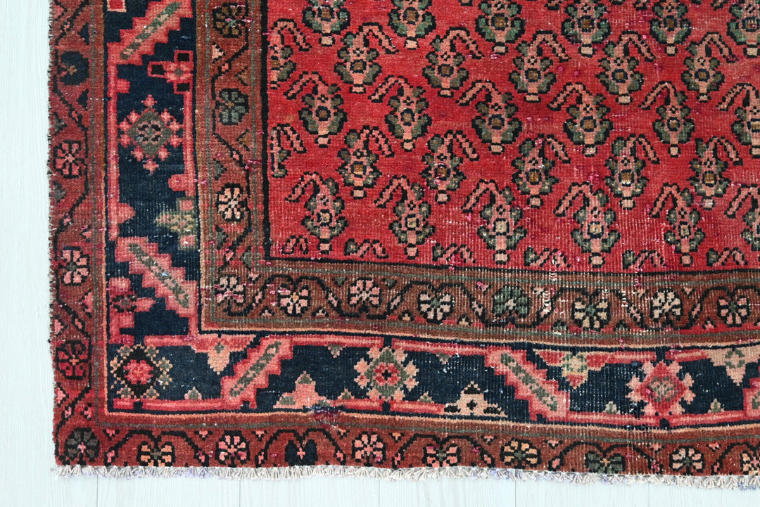 red Runner rug 3' 10" x 9' 11"