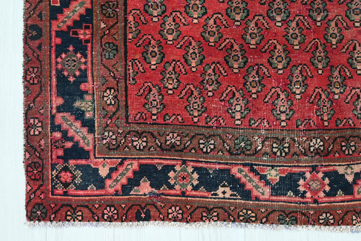 red Runner rug 3' 10" x 9' 11"