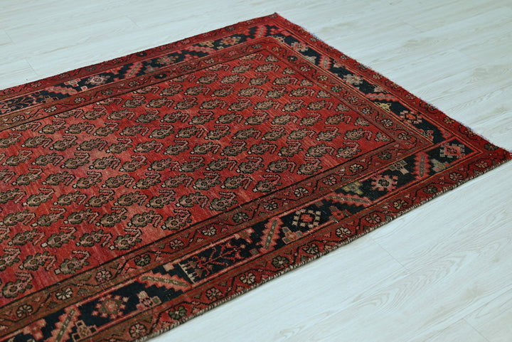 red Runner rug 3' 10" x 9' 11"