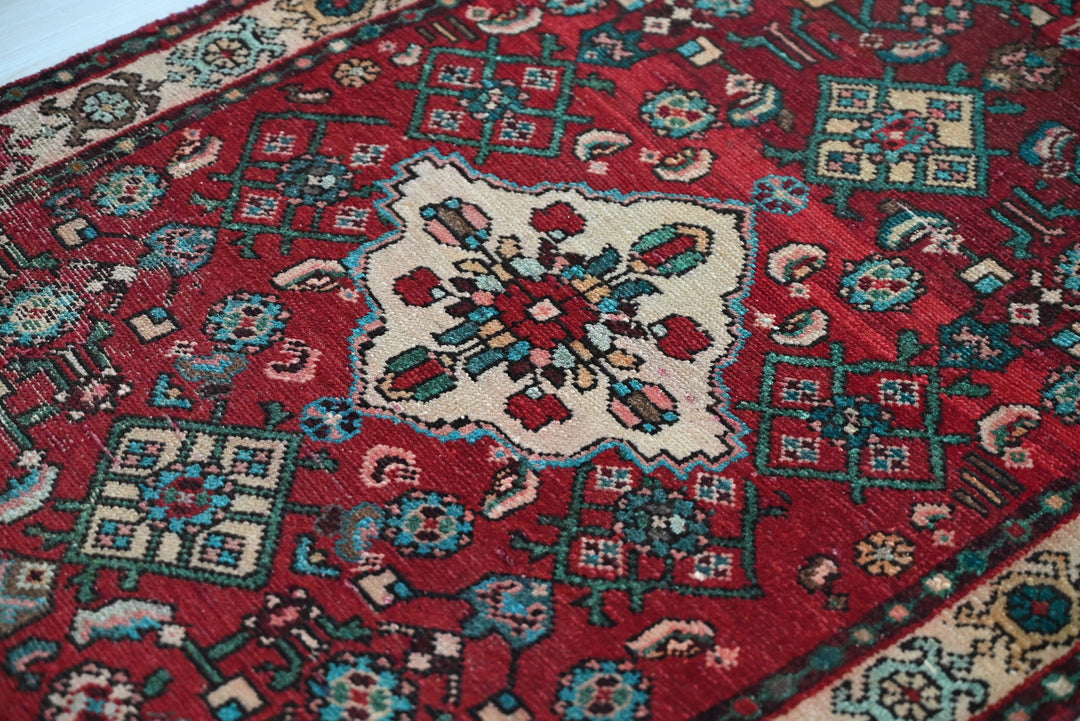 red Runner rug 2' 10" x 9' 1"