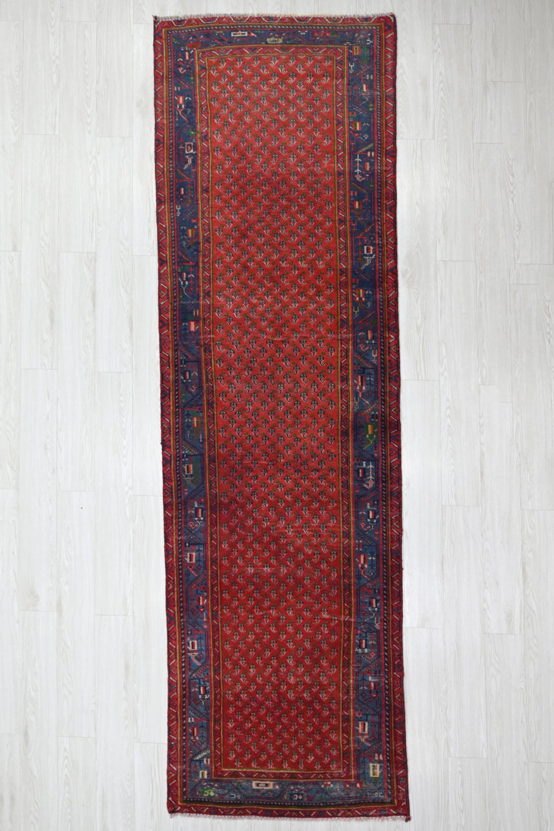 red Runner rug 3' 1" x 9' 11"