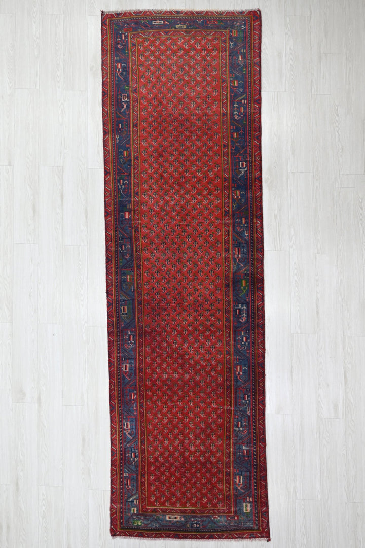 red Runner rug 3' 1" x 9' 11"