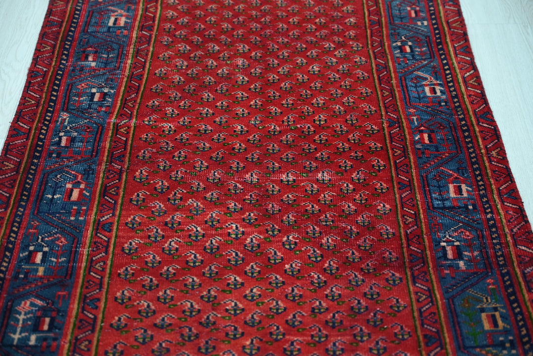 red Runner rug 3' 1" x 9' 11"