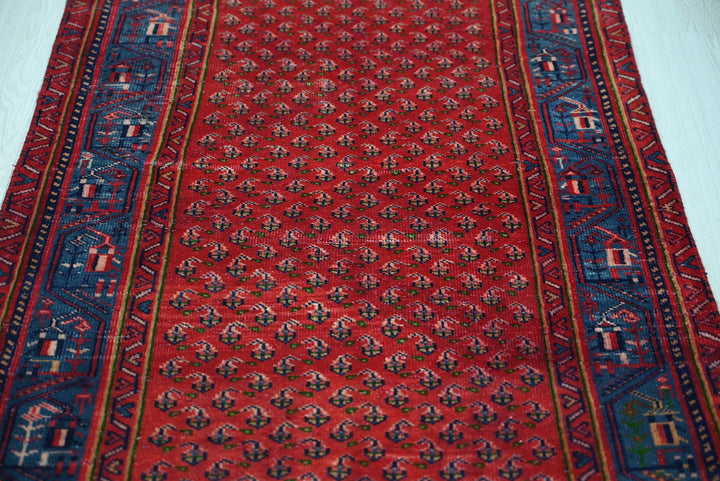 red Runner rug 3' 1" x 9' 11"