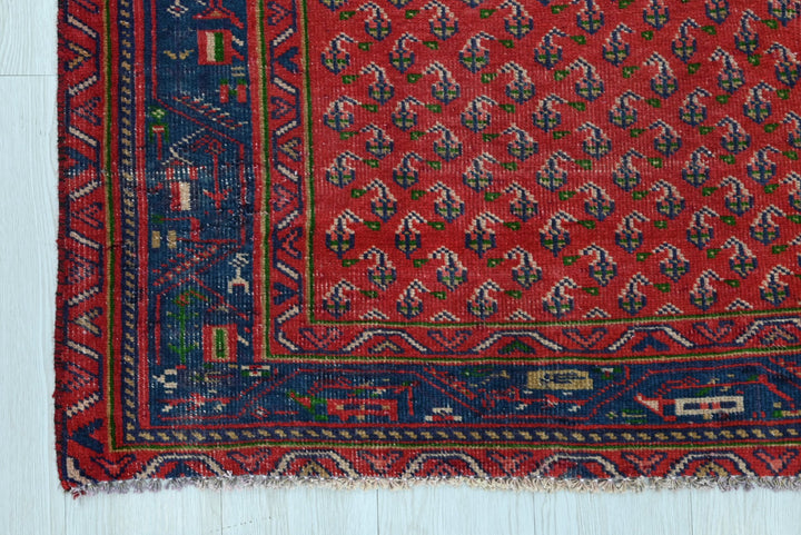 red Runner rug 3' 1" x 9' 11"