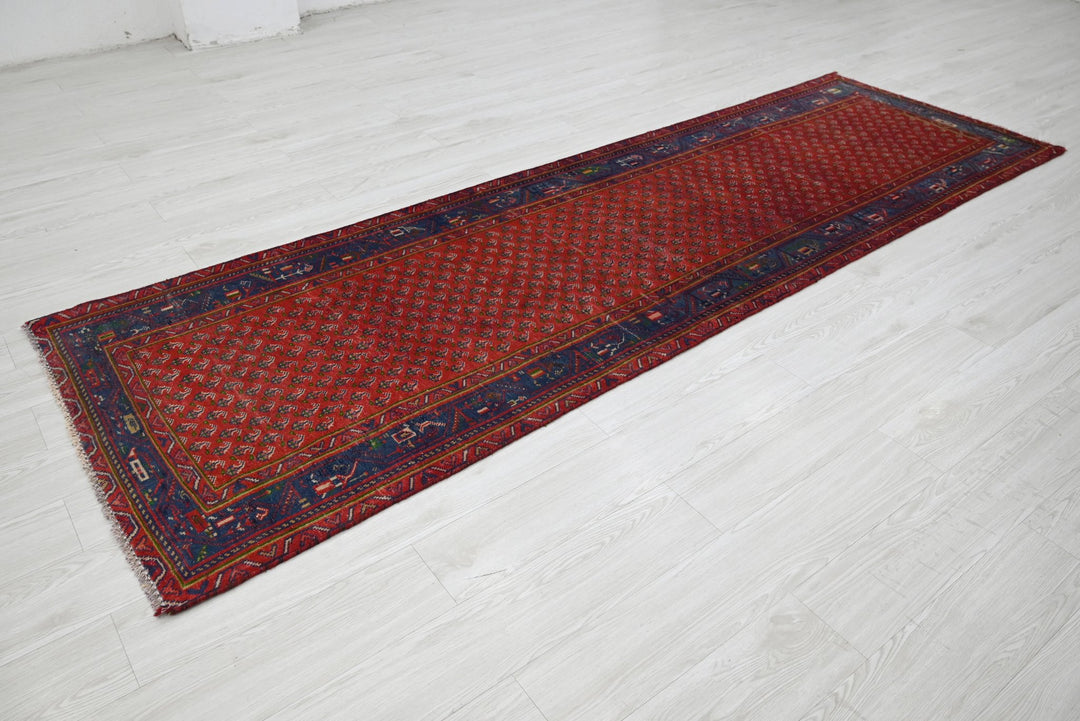 red Runner rug 3' 1" x 9' 11"