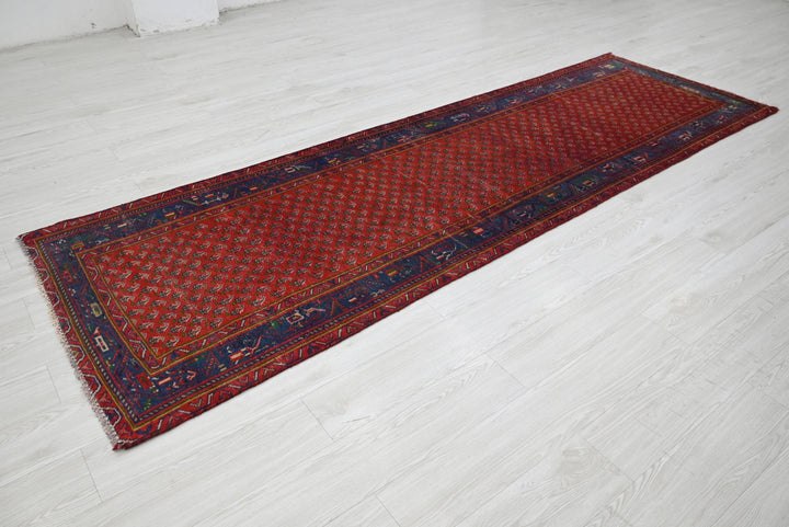 red Runner rug 3' 1" x 9' 11"