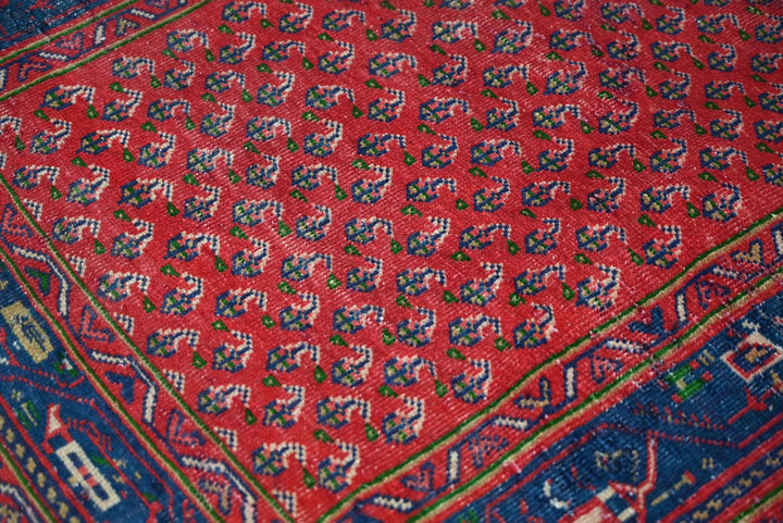 red Runner rug 3' 1" x 9' 11"