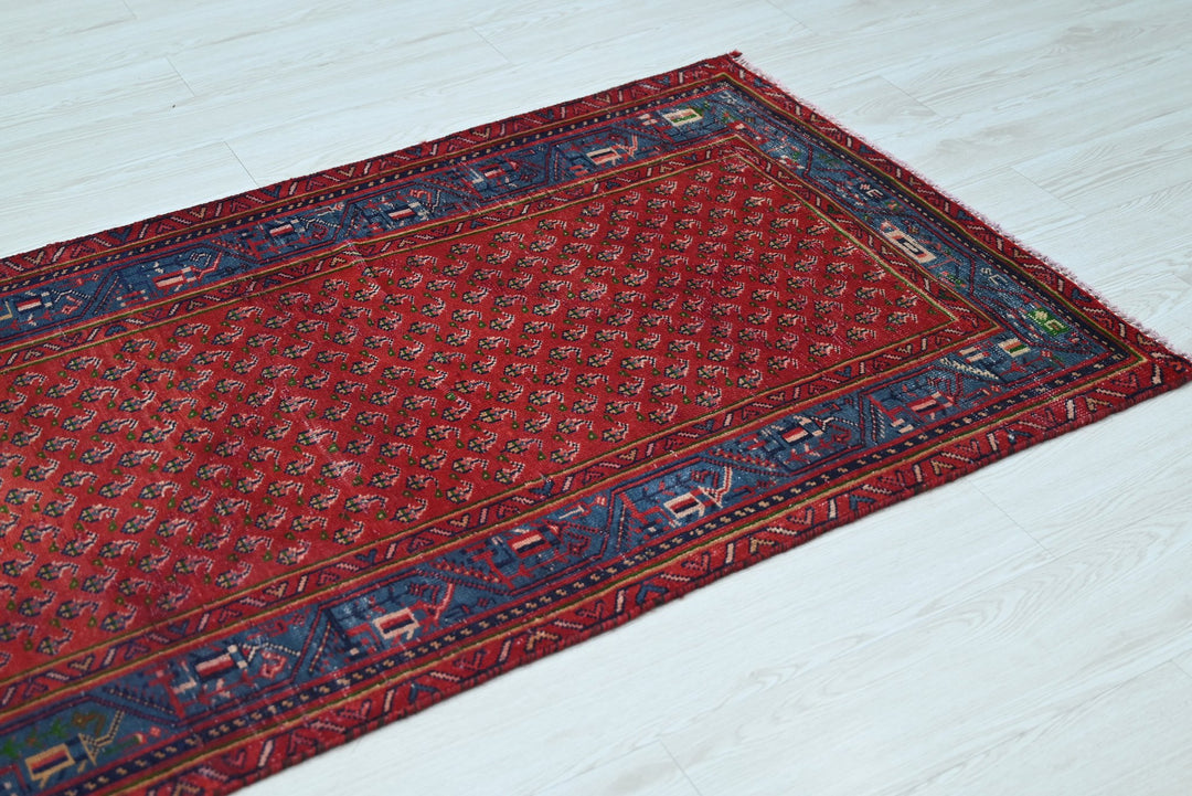 red Runner rug 3' 1" x 9' 11"