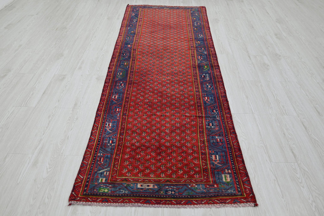 red Runner rug 3' 1" x 9' 11"