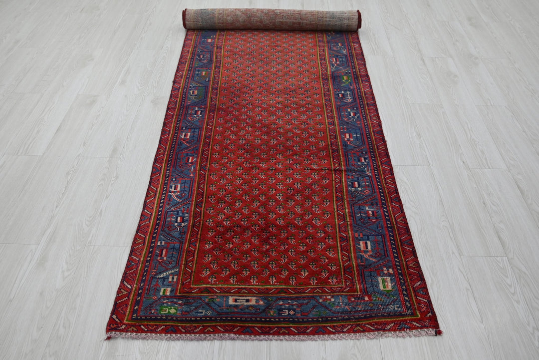 red Runner rug 3' 1" x 9' 11"