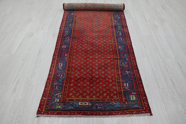 red Runner rug 3' 1" x 9' 11"