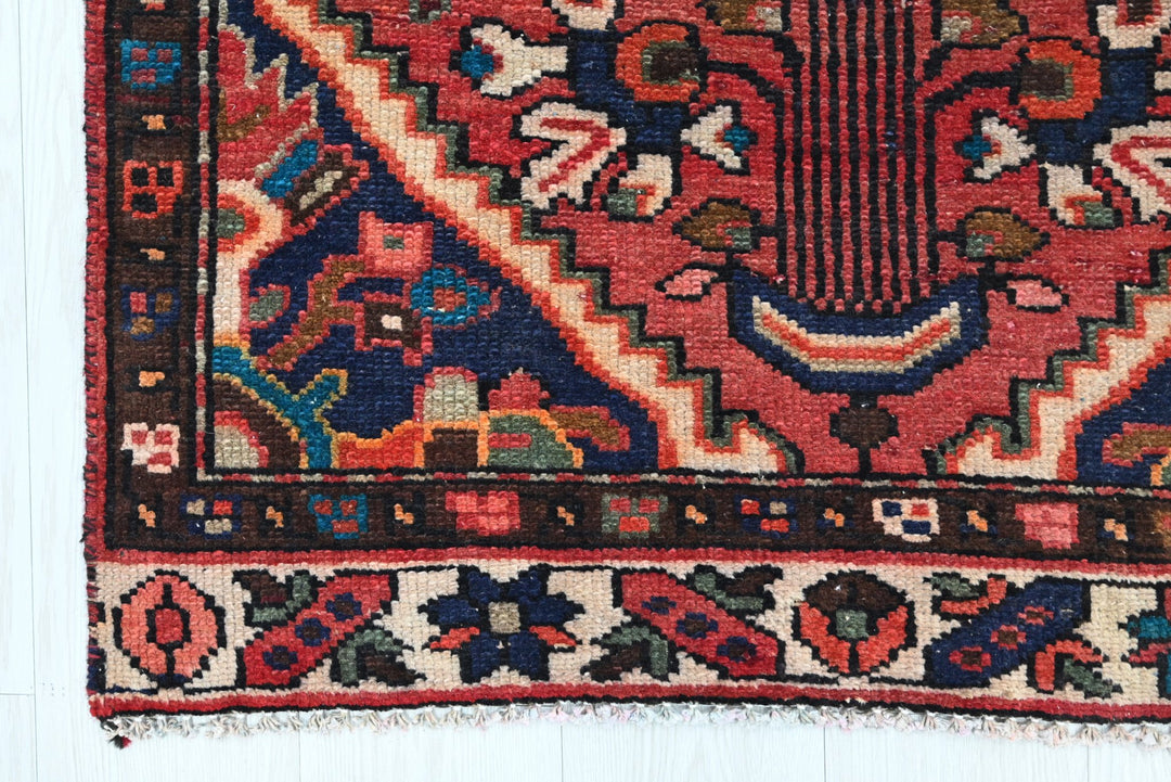 red Runner rug 2' 10" x 10' 7"