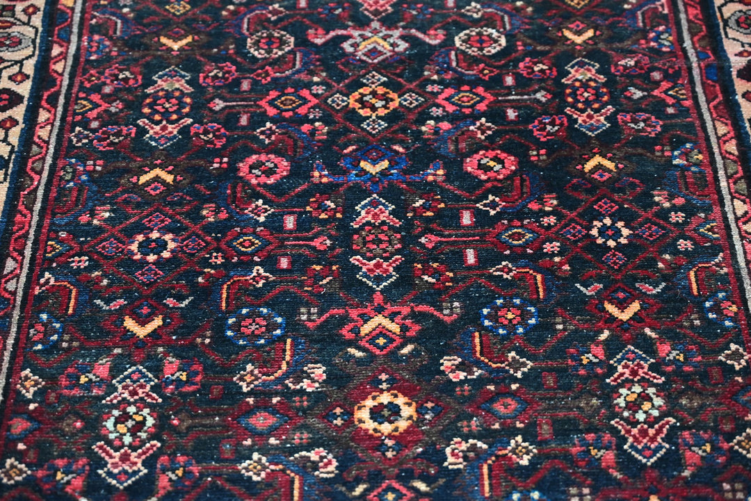 blue Runner rug 3' 0" x 12' 4"