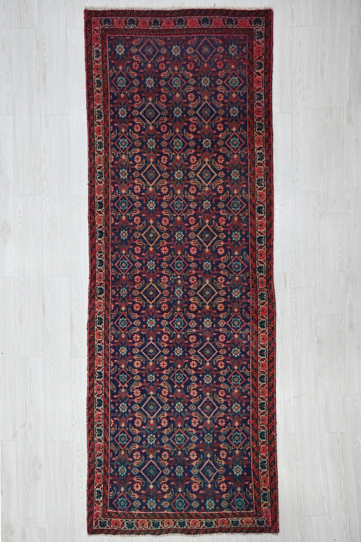 blue Runner rug 3' 4" x 9' 5"