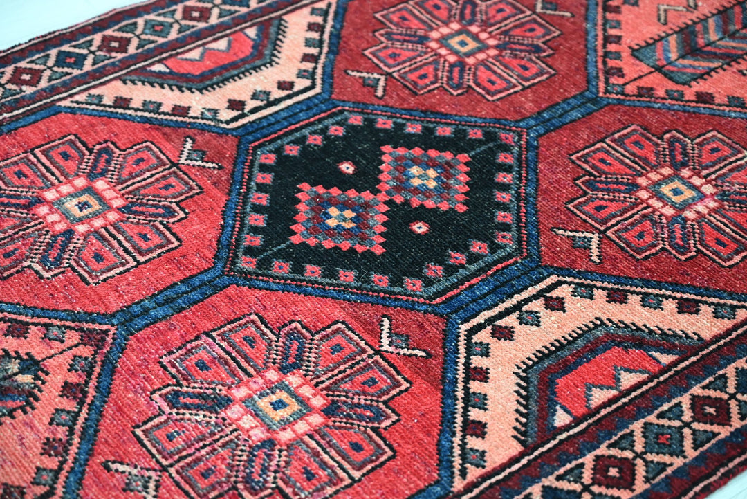 red Runner rug 3' 4" x 9' 11"