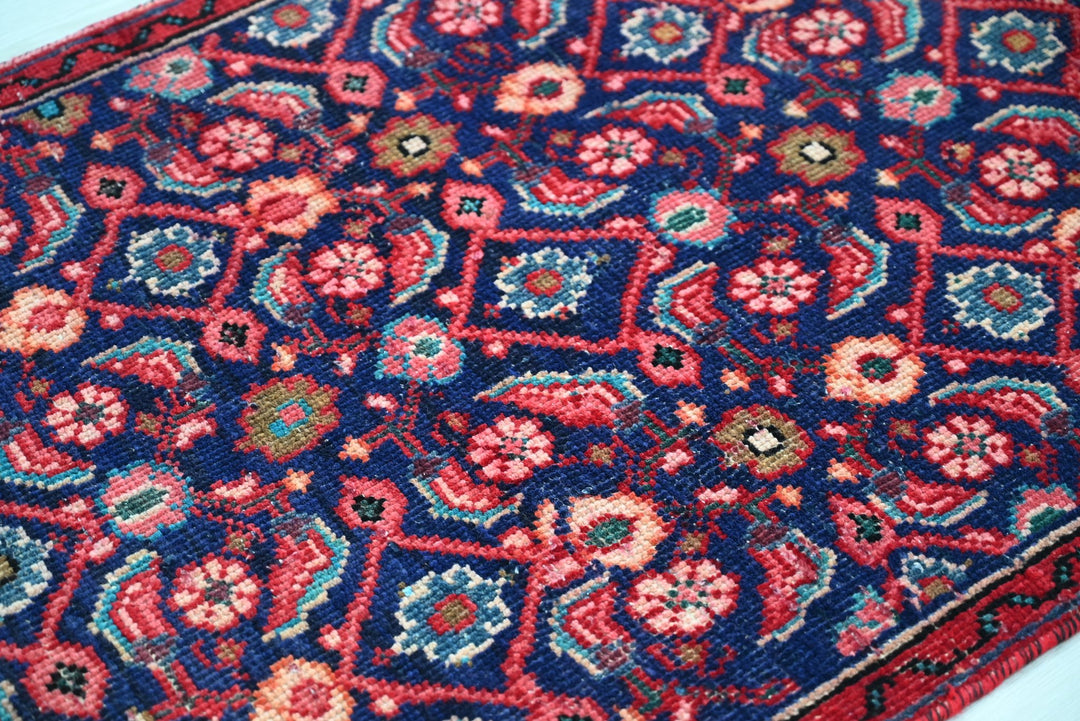 blue Runner rug 2' 7" x 8' 4"