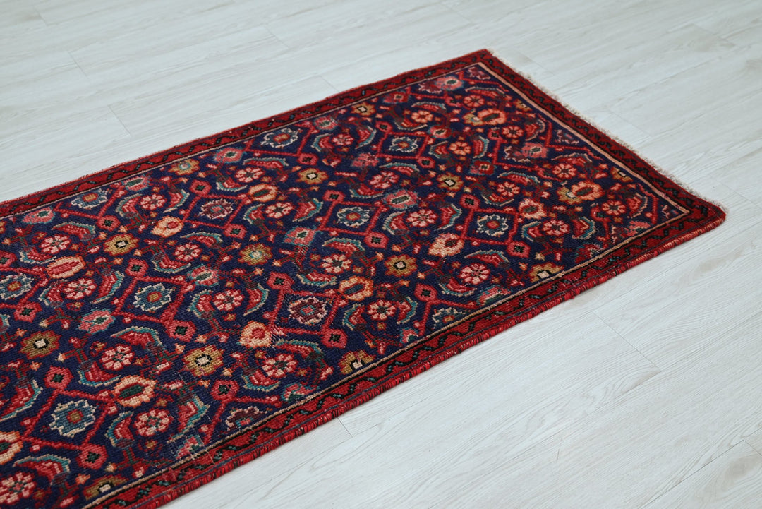 blue Runner rug 2' 7" x 8' 4"