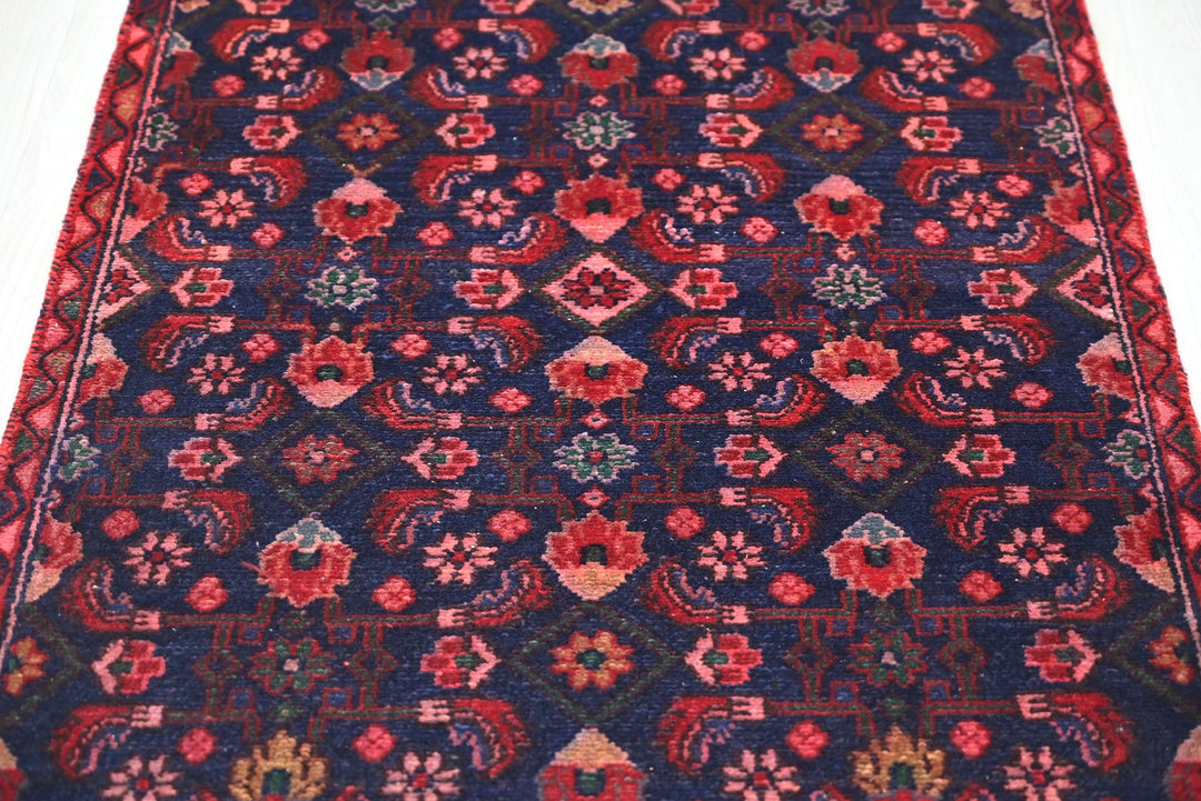 blue Runner rug 2' 9" x 9' 5"