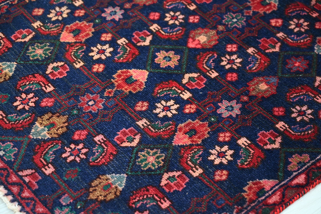 blue Runner rug 2' 9" x 9' 5"