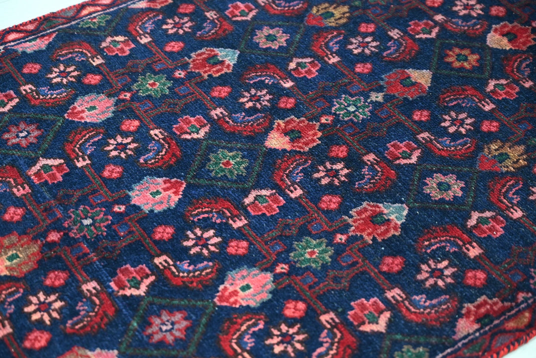 blue Runner rug 2' 9" x 9' 5"