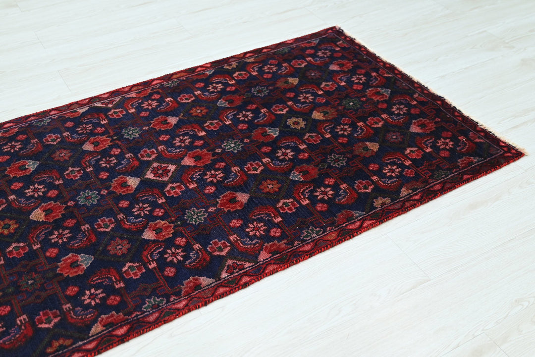 blue Runner rug 2' 9" x 9' 5"