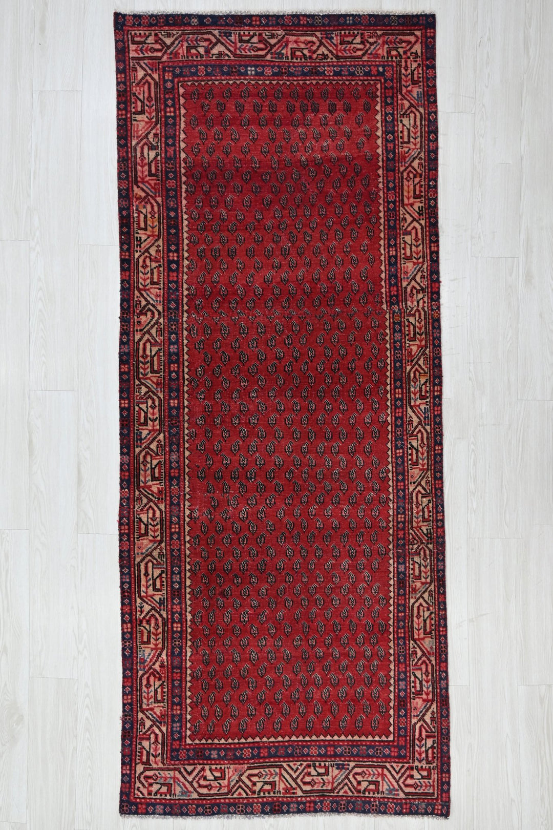 red Runner rug 3' 3" x 8' 1"