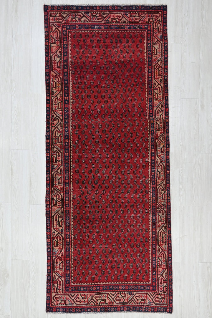 red Runner rug 3' 3" x 8' 1"