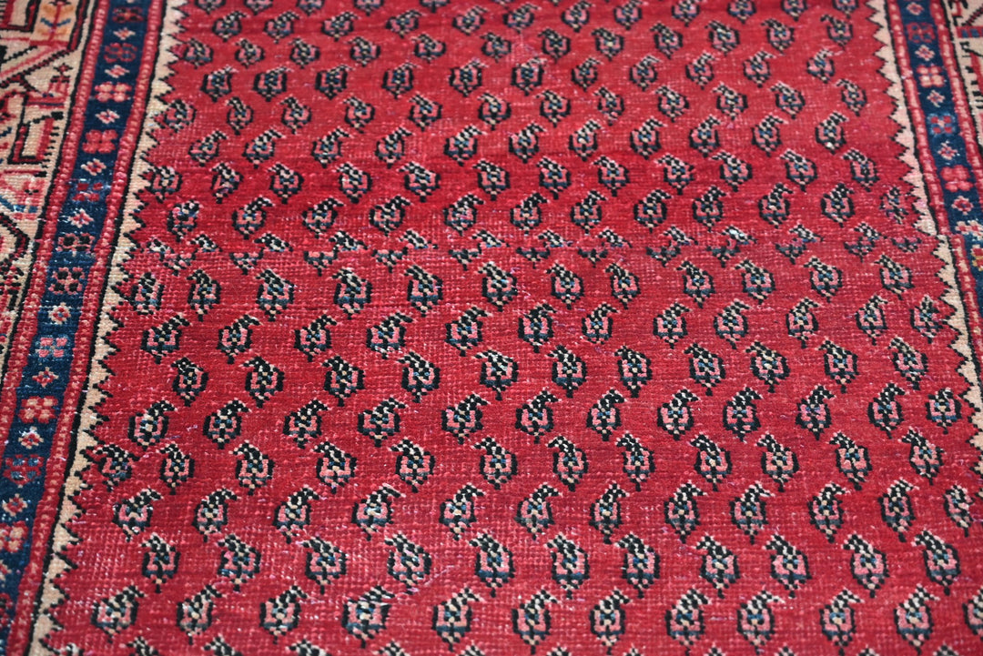red Runner rug 3' 3" x 8' 1"