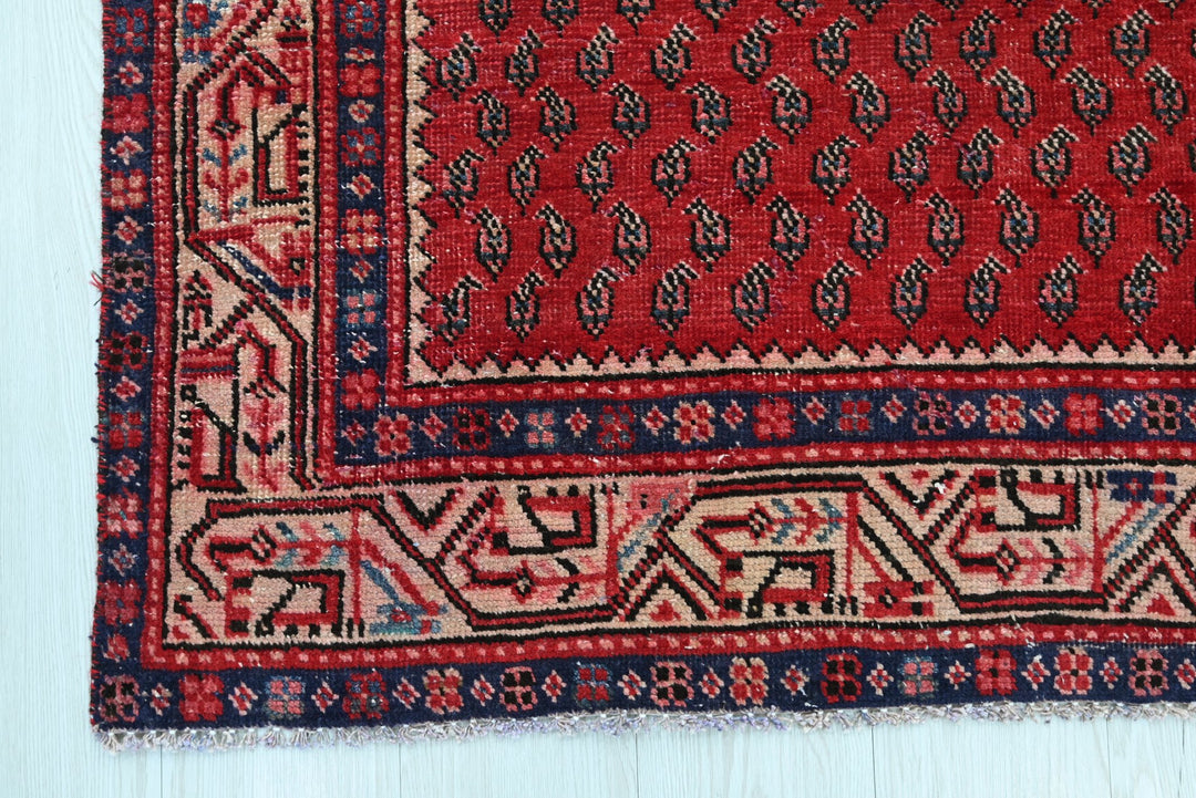 red Runner rug 3' 3" x 8' 1"