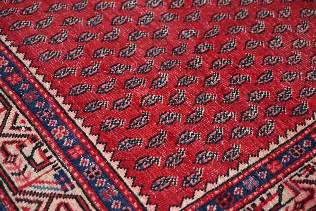 red Runner rug 3' 3" x 8' 1"