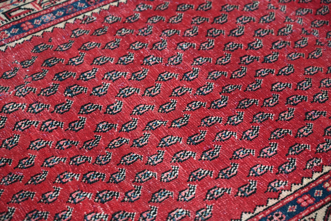 red Runner rug 3' 3" x 8' 1"