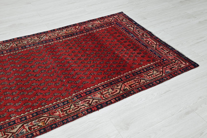 red Runner rug 3' 3" x 8' 1"