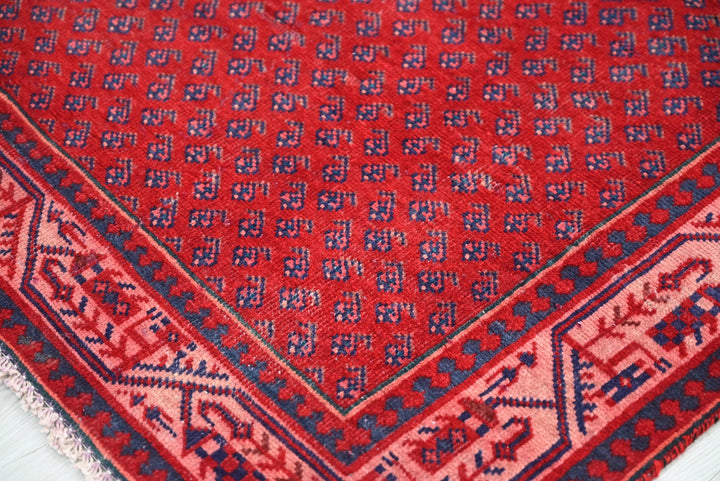 red Runner rug 3' 4" x 10' 2"