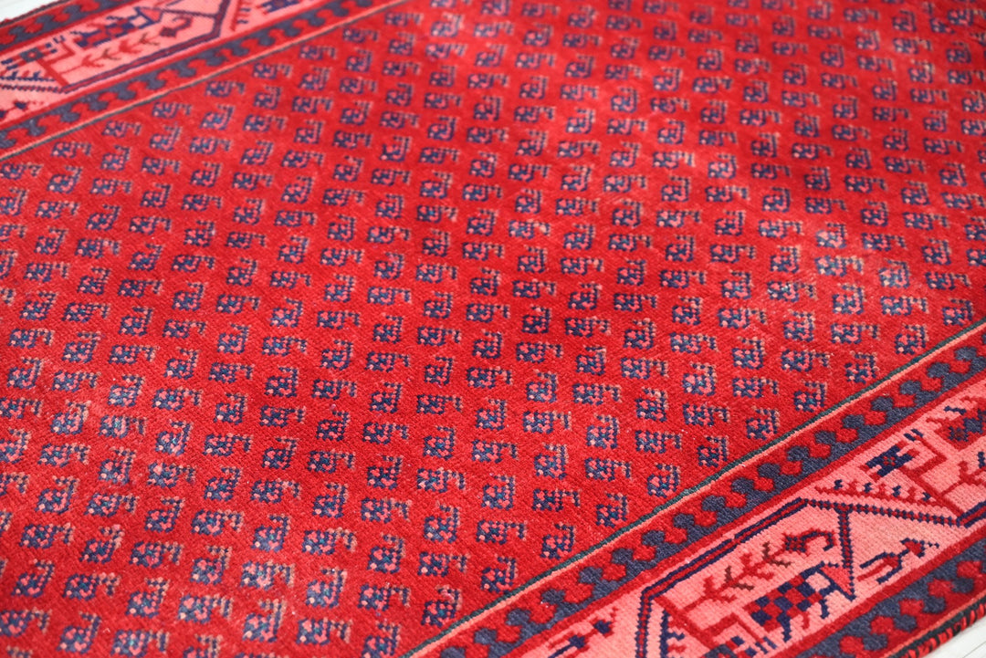 red Runner rug 3' 4" x 10' 2"