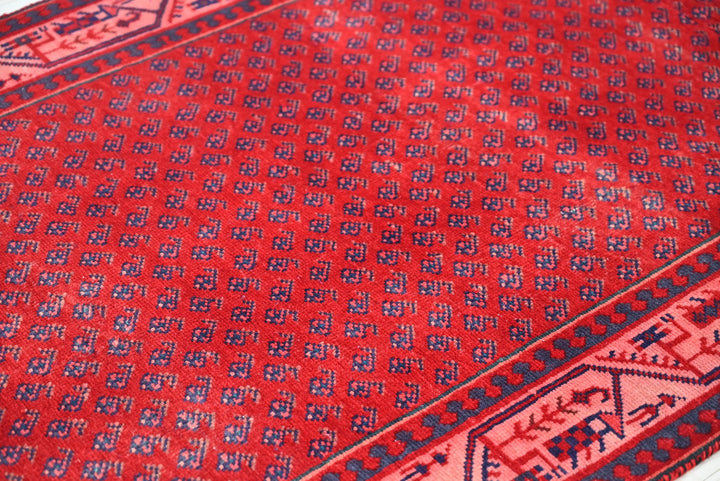 red Runner rug 3' 4" x 10' 2"