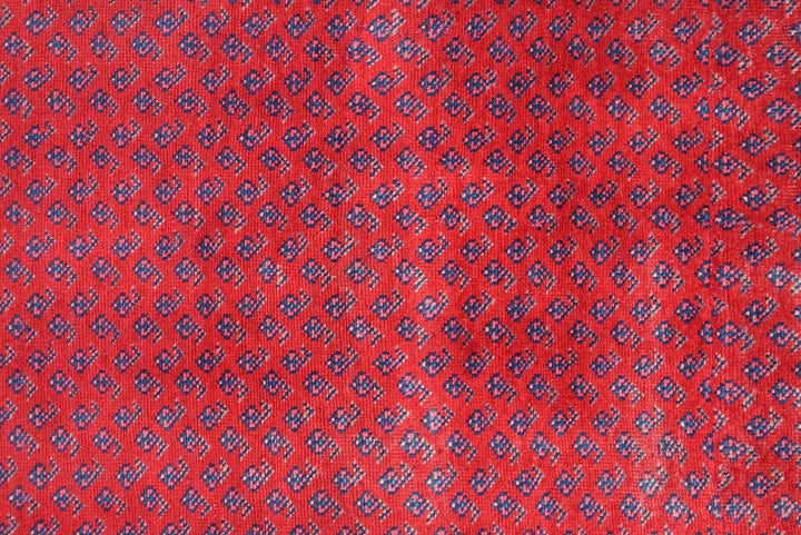 red Runner rug 3' 4" x 10' 2"