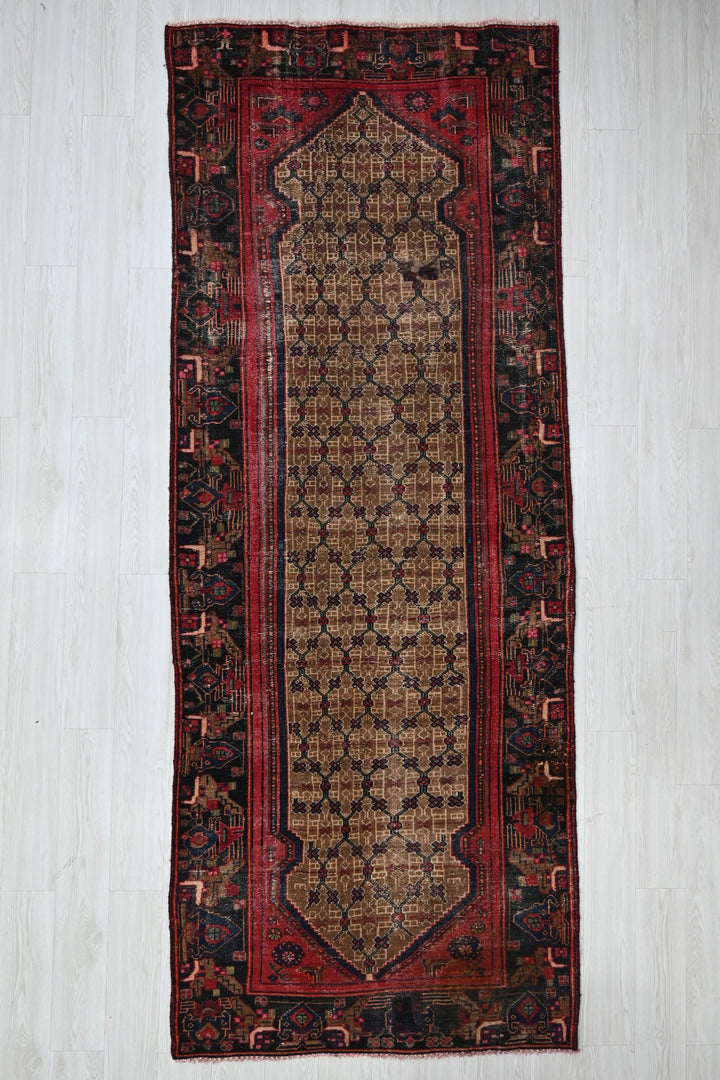 brown Runner rug 3' 9" x 10' 0"