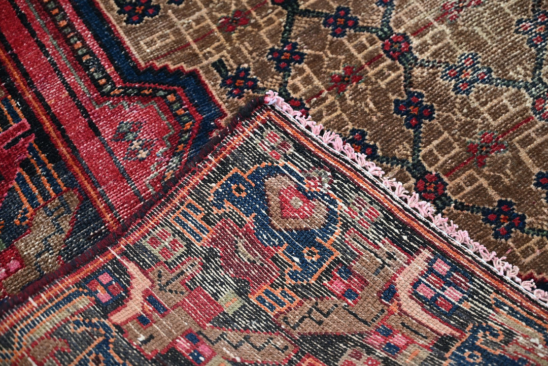 brown Runner rug 3' 9" x 10' 0"