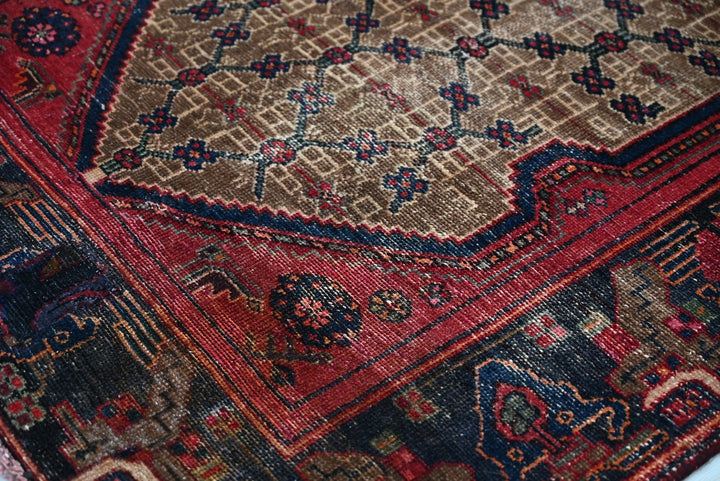 brown Runner rug 3' 9" x 10' 0"