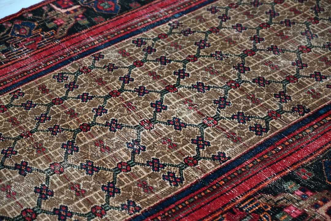 brown Runner rug 3' 9" x 10' 0"