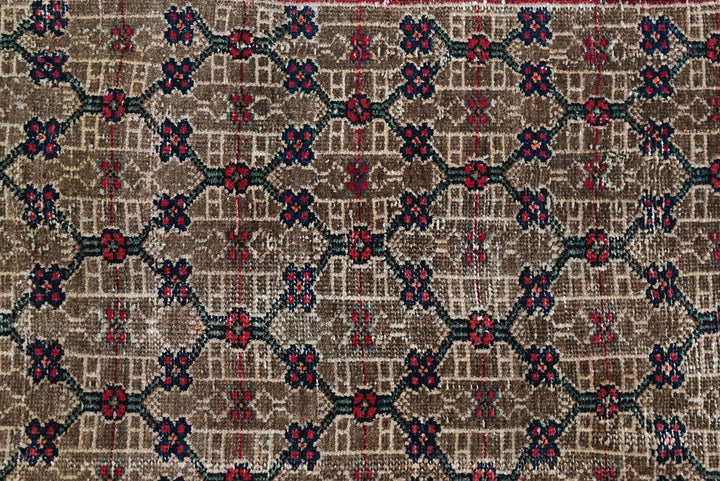 brown Runner rug 3' 9" x 10' 0"