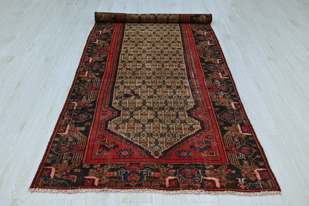 brown Runner rug 3' 9" x 10' 0"