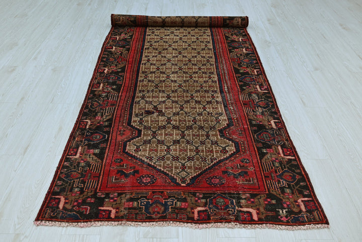 brown Runner rug 3' 9" x 10' 0"