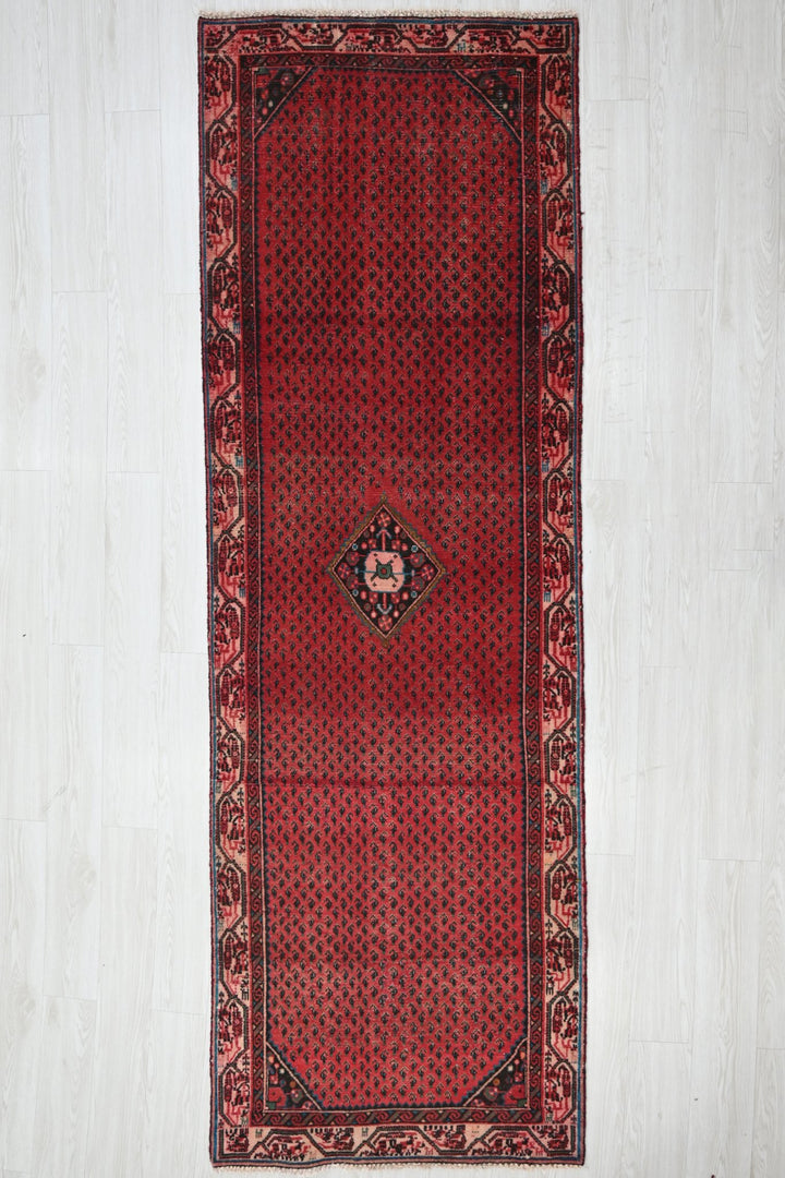 red Runner rug 3' 1" x 9' 2"