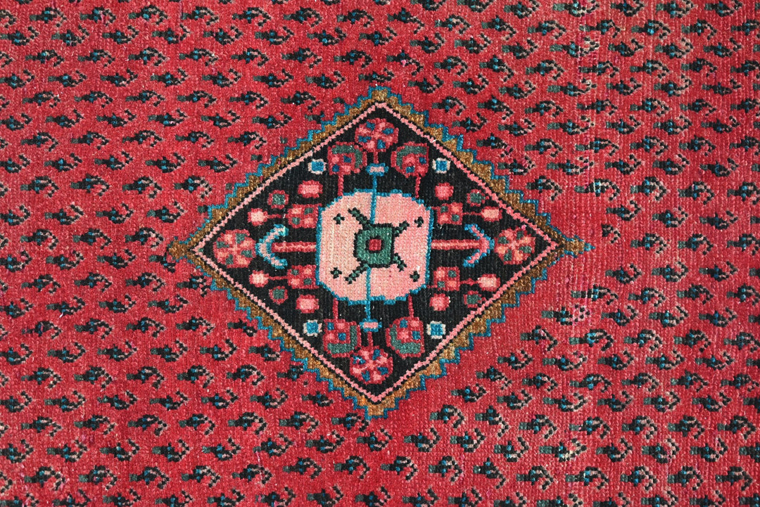 red Runner rug 3' 1" x 9' 2"